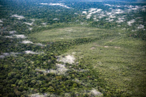 Desmatamento explode em áreas protegidas