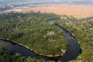 The deforestation of the largest continuous area of forest in the Amazon