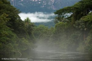 Proteger a Amazônia e reflorestar áreas degradadas é essencial para as chuvas em grande parte da América do Sul
