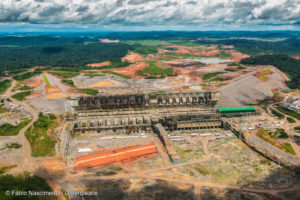Hidrelétrica de Belo Monte quer queimar madeira nobre para fins energéticos