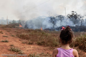 Queimadas no Acre, estado com maior número de focos de incêndio no país, chegam a 349 em apenas 24 horas