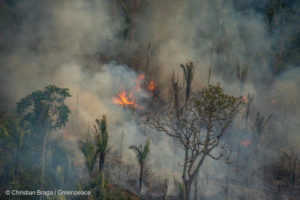 Quase 60% do Pantanal sofreu incêndios nos últimos 36 anos