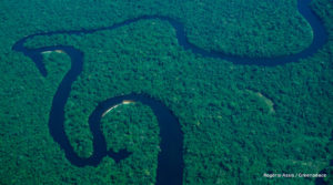 Governo do Pará cria fundo para proteção da floresta amazônica