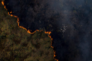 Fogo segue rastro do desmatamento na Amazônia
