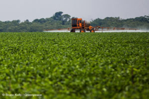 Para não correr riscos, agronegócio precisa proteger a Amazônia, diz Mendonça de Barros