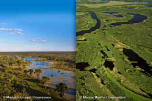Cerrado e Pantanal ficam de fora de projeto da União Europeia para frear desmatamento por regulamentação do mercado