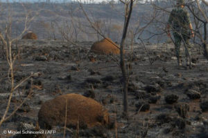 Em meio a grandes incêndios, o Cerrado pode ficar sem monitoramento espacial