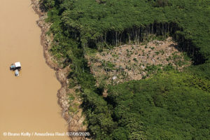Desmatamento e grilagem podem avançar para o coração do Amazonas