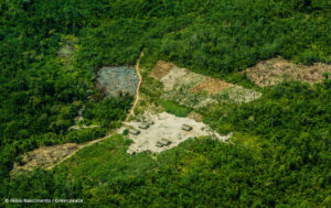 Justiça Federal ordena retirada de invasores de floresta em Rondônia