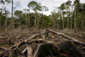 What does deforestation in the Amazon have to do with COP-26, and vice versa?