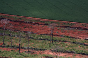 Nos estados amazônicos impera o lado atrasado do agronegócio