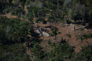 Polo agropecuário no oeste da Amazônia se torna epicentro de desmatamento