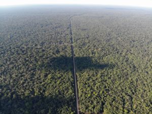 Agronegócio e BR-319 colocam Amazonas na berlinda