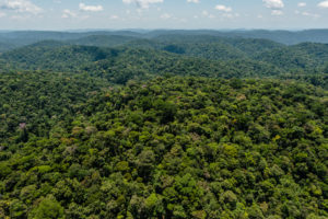 A regularização fundiária diminuiu na Amazônia