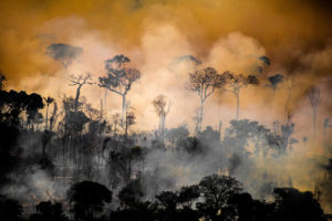 Líder indígena venezuelano associa fim da floresta ao apocalipse