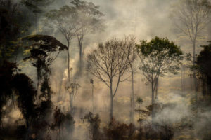 Incêndio na terra indígena Umutina já destruiu mais de 4 mil hectares de vegetação nativa