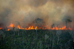 Em setembro, incêndios caíram pela metade na Amazônia brasileira