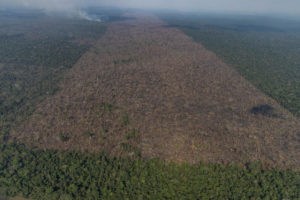 2021 tem o segundo pior setembro da série histórica de desmatamento da Amazônia