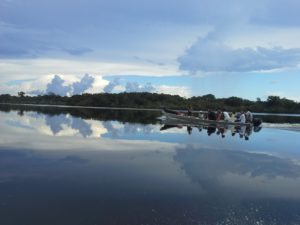 Chemical products and deforestation modify Amazon River water