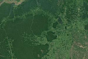 Amazônia já perdeu uma área 6x maior que o município de São Paulo em 2020
