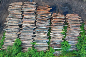 Relatório reforça peso do desmatamento nas mudanças climáticas