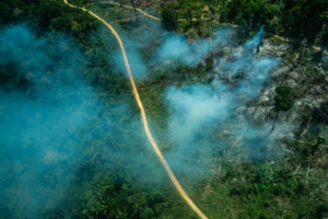 Forest fires reached all indigenous lands with isolated peoples in the Amazon
