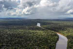 Brazil signs forest agreement after deforesting ⅓ of target set in Paris