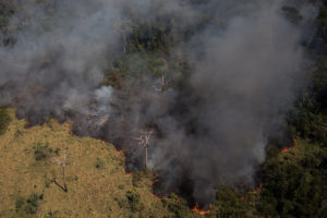 PPCDAm: enfrentando a degradação florestal e as mudanças climáticas na Amazônia