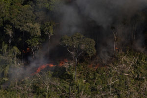 The hidden emissions of forest degradation in the Amazon