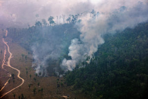 Impact of Amazon degradation not accounted for in Brazil’s greenhouse gas emissions