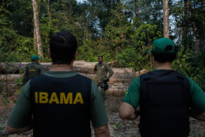 Desmatamento em alta, autuações em baixa