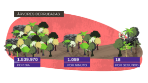 500 milhões de árvores derrubadas na Amazônia brasileira em 2021