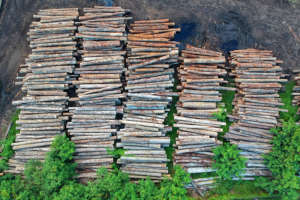 Financial institutions turning their backs to deforestation