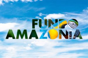 Fundo Amazônia: a culpa é do governo Bolsonaro