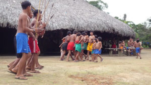 MPF tenta barrar trecho do Linhão de Tucuruí que atravessaria a Terra Indígena Waimiri Atroari