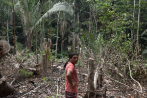 “Desmatamento inibe desenvolvimento da Amazônia”
