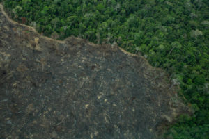 As nuances do desmatamento amazônico
