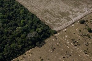 Pesquisadores pedem boicote internacional a produtos ligados ao desmatamento da Amazônia