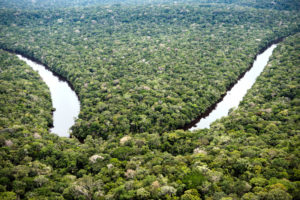 A Amazônia pode se tornar potência em carbono, mas precisa ir além