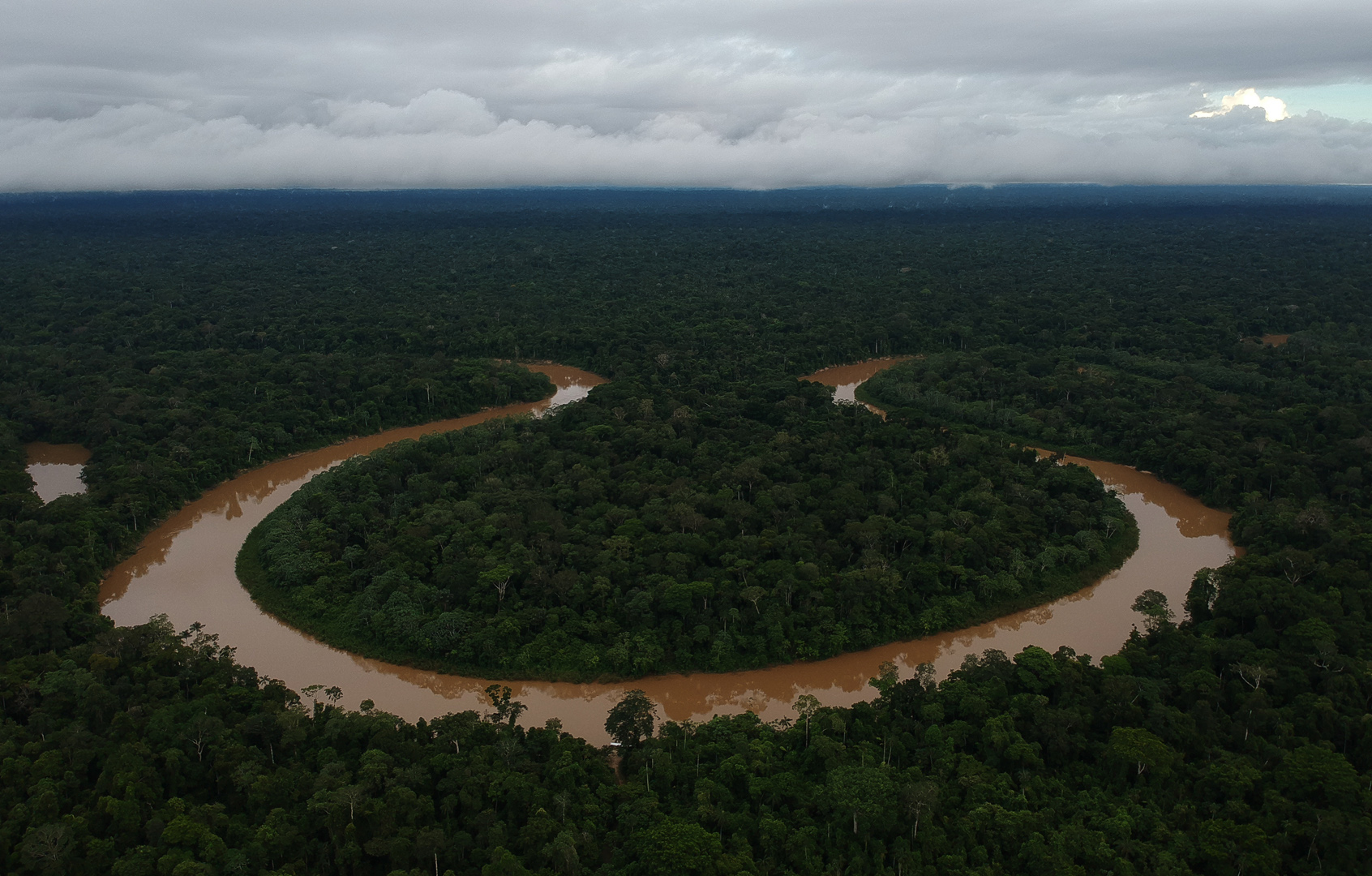 Paisagens conservadas barram doenças como a Covid-19