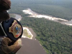 PF admite dificuldade de monitorar a vastidão amazônica