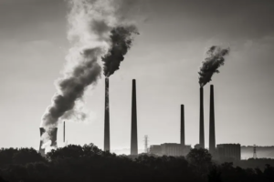 Regulamentação do mercado de carbono emperra