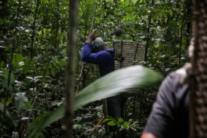 Pacote de soluções leva produção sustentável, comércio justo e proteção à Amazônia