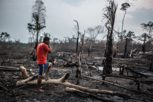 A sanha pela destruição amazônica segue firme em fevereiro