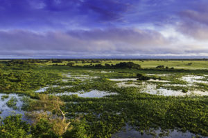 As águas do Pantanal