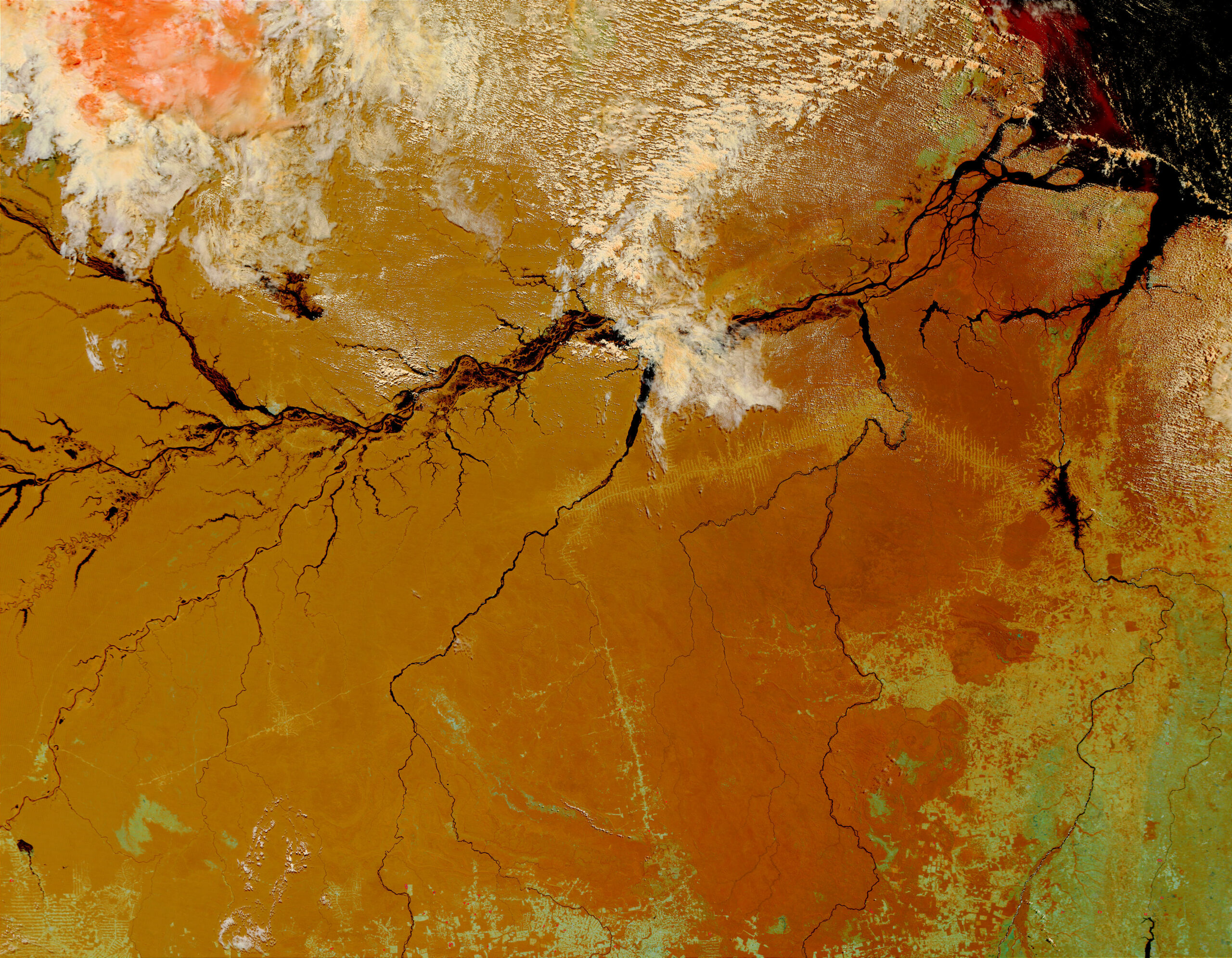 Distribuição de chuvas e de secas está mudando na Bacia Amazônica
