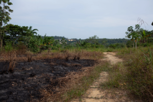 Impasse deixa indígenas desamparados em Manaus
