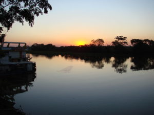 100 mil mudas às margens do rio Paraguai
