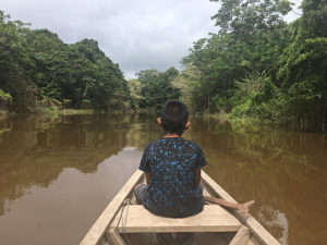 Cooperação internacional com a Colômbia ignora preservação ambiental