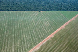 Distorção em regras faz médios e grandes produtores abocanharem maior parte dos recursos públicos na Amazônia